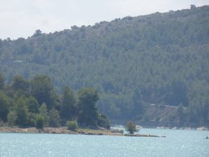 Ribesalves
