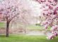 lente in spanje