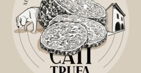 trufa-negra-cati