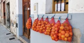 sinaasappels-castellon